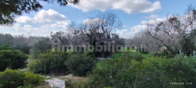 Morciano di Leuca, strada provinciale 190