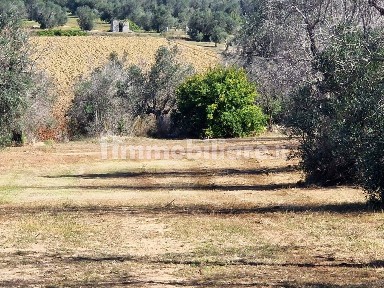 Parabita, Strada Vicinale di Ponente