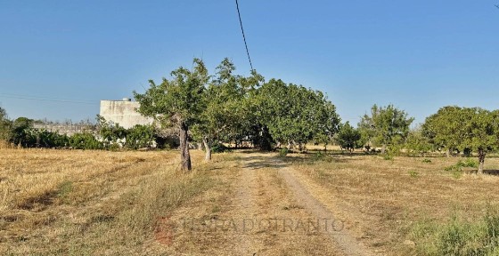Cutrofiano, Strada Comunale Verso Casarano