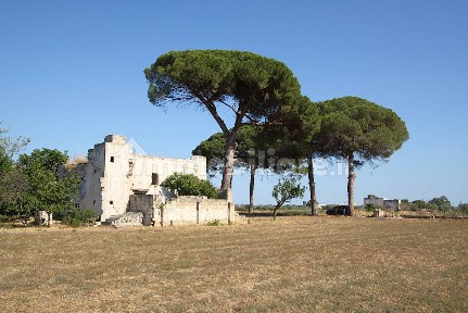 Masseria Strada Provinciale Gallipoli Parabita Maglie, Alezio