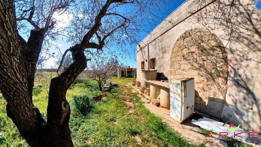 Nardò, Strada Provinciale Avetrana Gallipoli
