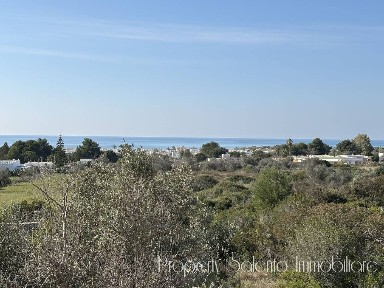 Masseria Sp193, Ugento