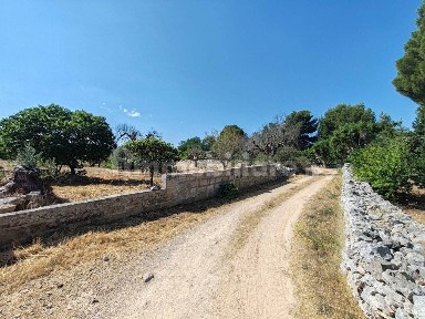 Casale Strada Statale Salentina Meridionale, Morciano di Leuca