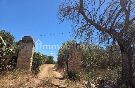 Rustico via Gabriele Manfredi, Porto Cesareo
