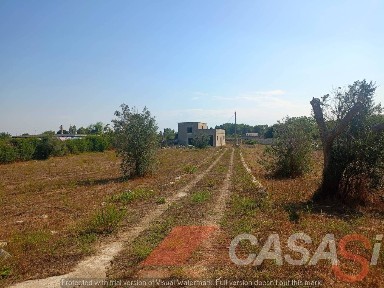 Cursi, Via Castrignano dei Greci