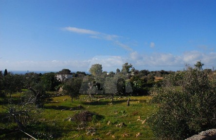 Morciano di Leuca, Strada Comunale Nepole