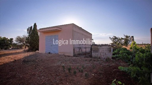 Casale Sp359, Nardò