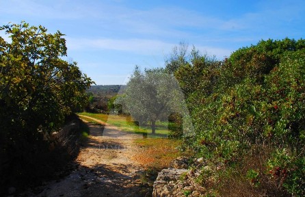 Trullo Strada Statale Salentina Meridionale, Presicce-Acquarica