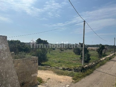Rustico Strada Vicinale Cairi, Salve