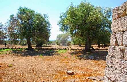 Casale Strada Vicinale Semaforo, Castrignano del Capo