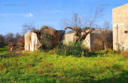 Casale via San Giuseppe, Castrignano del Capo