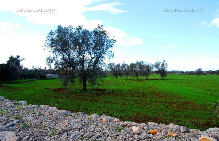 Trullo, da ristrutturare, 18350 m², Alessano