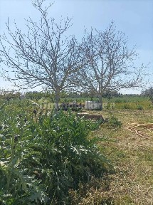 Cutrofiano, Via Sogliano No Number