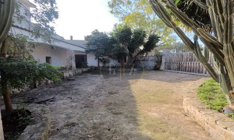 Masseria Strada Vicinale Grassi Mauriani, Carpignano Salentino