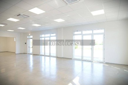 Locale commerciale in Affitto
