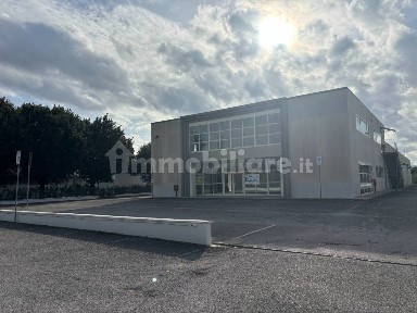 Locale commerciale in Affitto