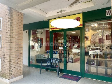 Locale commerciale in Affitto