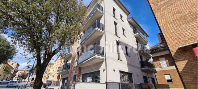 Todi, Angelo Cortesi, 0