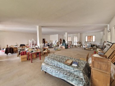 Locale commerciale in Affitto