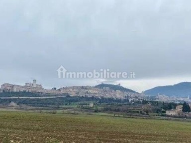Locale commerciale in Affitto