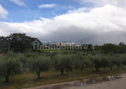 Assisi