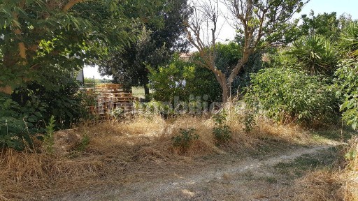Piombino, Località Le Guinzane, 9