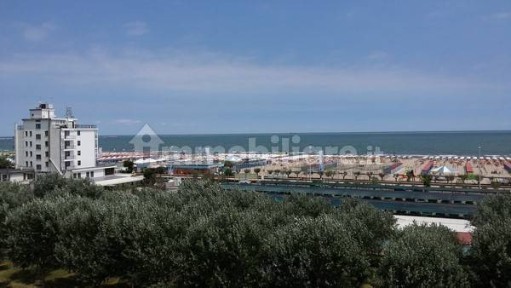 Agenzia di viaggi e turismo in Affitto