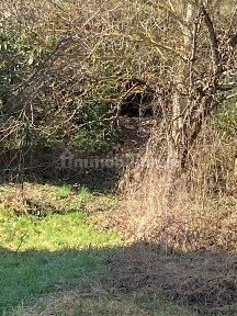 Terratetto plurifamiliare 88 m², buono stato, Santa Maria, Bobbio