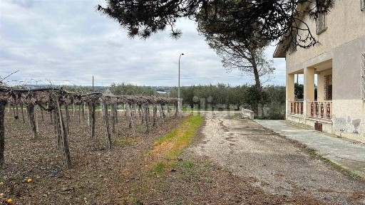 Mozzagrogna, Via Castel di Sette, 31