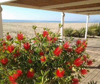 Villa a schiera 3 locali, nuova, Fiumaretta Di Ameglia, Ameglia