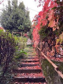 Villa plurifamiliare via Viggiù 25, Saltrio