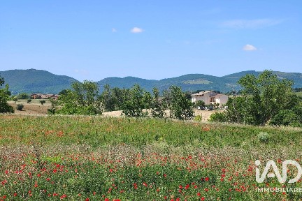 Treia, Contrada Schito