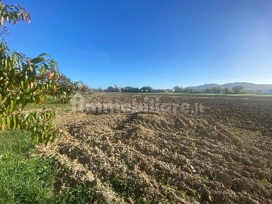 Terratetto plurifamiliare via Enrico Fermi 19, Becerica, Montelupone