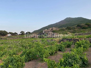 Dammuso salita Mueggen, Pantelleria