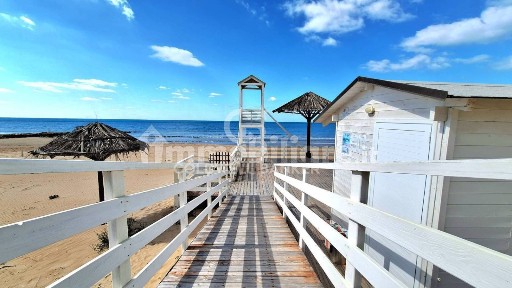 Stabilimento balneare in Affitto