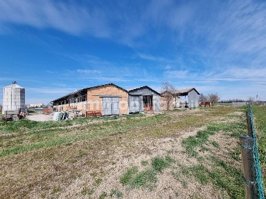 Capannone in Vendita