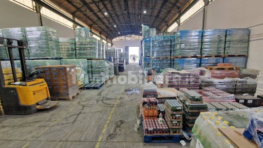 Magazzino - Deposito in Affitto