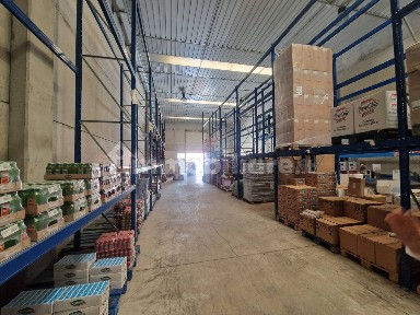 Magazzino - Deposito in Affitto