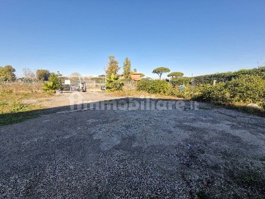 Magazzino - Deposito in Affitto