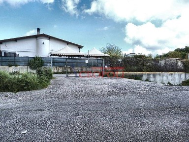 Magazzino - Deposito in Affitto