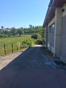Magazzino - Deposito in Affitto