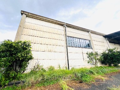 Massa, Zona Industriale, Via Bordigona