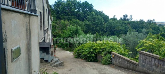 Villa a schiera 1 locale, nuova, Zepponami, Montefiascone