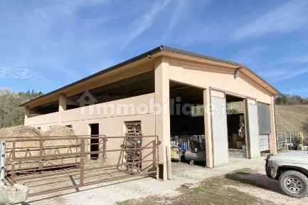 Magazzino all'asta Località Borghetto Fenigli snc, Pergola