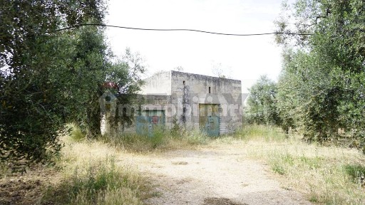 Rustico Località Focareta SNC, Vieste