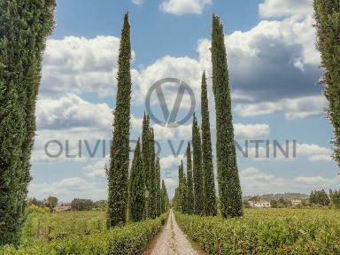 Quadrilocale Località Tregozzano 89, Tregozzano, Arezzo
