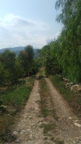 Capannone in Vendita