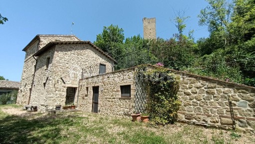 Matelica