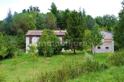 San Ginesio, Strada Provinciale 88, 23
