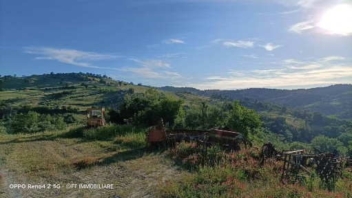 Rustico Strada Provinciale Faleriense-Ginesina, Sant'Angelo in Pontano